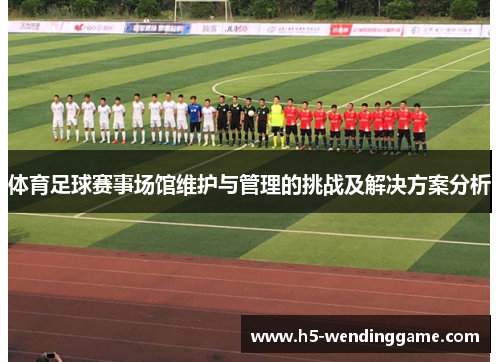 体育足球赛事场馆维护与管理的挑战及解决方案分析