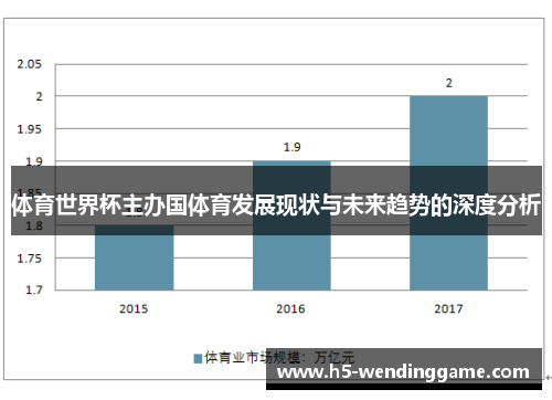 体育世界杯主办国体育发展现状与未来趋势的深度分析