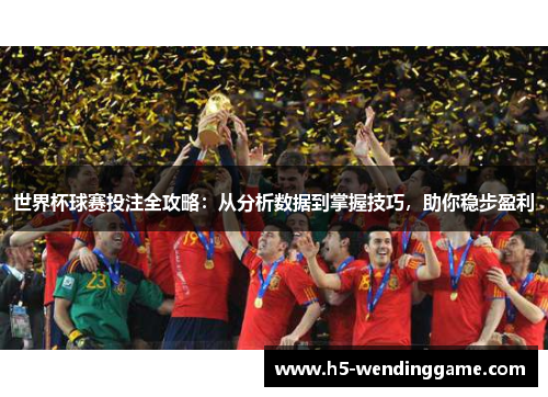 世界杯球赛投注全攻略：从分析数据到掌握技巧，助你稳步盈利