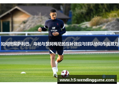 如何挖掘萨利巴、乌帕与楚阿梅尼的互补效应与球队协同作战潜力