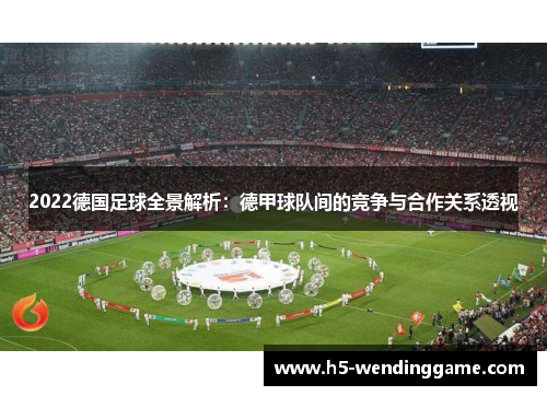 2022德国足球全景解析：德甲球队间的竞争与合作关系透视