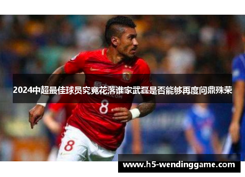 2024中超最佳球员究竟花落谁家武磊是否能够再度问鼎殊荣