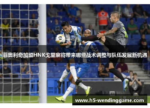 菲奥利奇加盟HNK戈里察将带来哪些战术调整与队伍发展新机遇