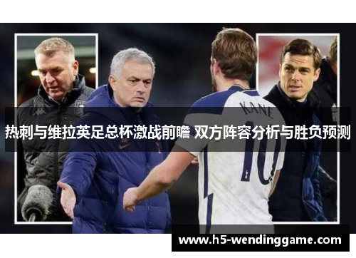 热刺与维拉英足总杯激战前瞻 双方阵容分析与胜负预测