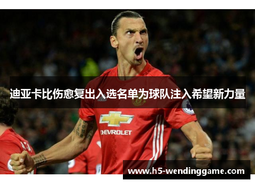 迪亚卡比伤愈复出入选名单为球队注入希望新力量