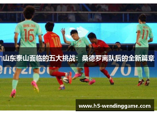 山东泰山面临的五大挑战：桑德罗离队后的全新篇章