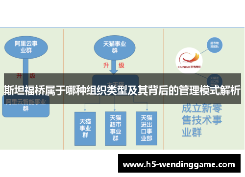 斯坦福桥属于哪种组织类型及其背后的管理模式解析