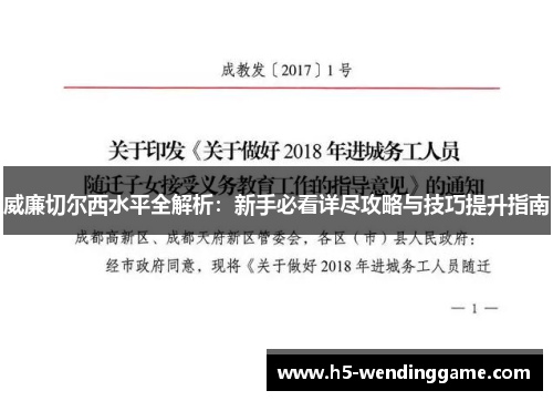 威廉切尔西水平全解析：新手必看详尽攻略与技巧提升指南