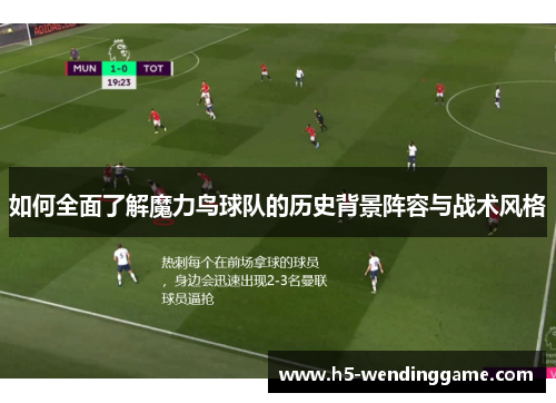 如何全面了解魔力鸟球队的历史背景阵容与战术风格