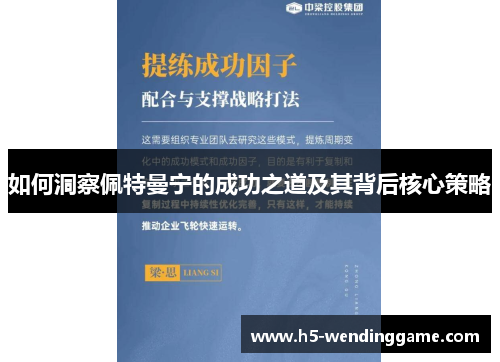 如何洞察佩特曼宁的成功之道及其背后核心策略