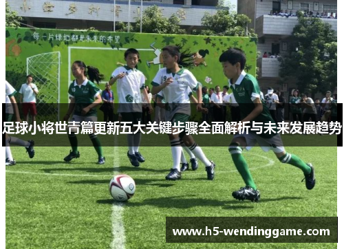足球小将世青篇更新五大关键步骤全面解析与未来发展趋势