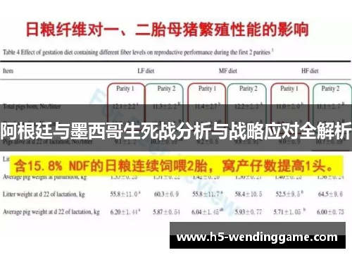 阿根廷与墨西哥生死战分析与战略应对全解析