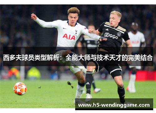 西多夫球员类型解析：全能大师与技术天才的完美结合